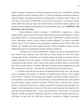 Reklamos galimybių analizė: alaus darykla AB "Gubernija" 14 puslapis