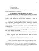 Reklamos galimybių analizė: alaus darykla AB "Gubernija" 17 puslapis