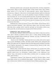 Reklamos galimybių analizė: alaus darykla AB "Gubernija" 19 puslapis