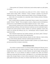 Reklamos galimybių analizė: alaus darykla AB "Gubernija" 20 puslapis