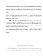 Reklamos galimybių analizė: alaus darykla AB "Gubernija" 3 puslapis