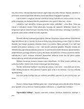 Reklamos galimybių analizė: alaus darykla AB "Gubernija" 6 puslapis