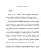 Reklamos galimybių analizė: alaus darykla AB "Gubernija" 8 puslapis