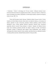 Pagrindinės reklamos internete formos 2 puslapis