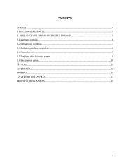 Pagrindinės reklamos internete formos 3 puslapis