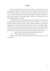 Pagrindinės reklamos internete formos 4 puslapis