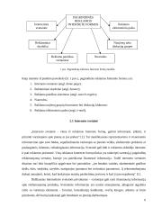 Pagrindinės reklamos internete formos 6 puslapis