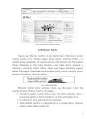 Pagrindinės reklamos internete formos 7 puslapis