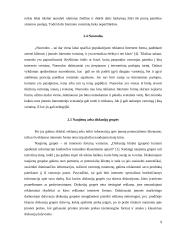 Pagrindinės reklamos internete formos 9 puslapis