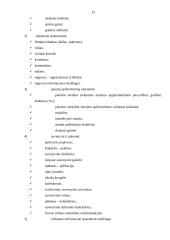 Reklamos plano turinys ir svarbiausi elementai kuriant firmos įvaizdį 12 puslapis