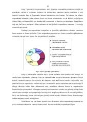 Reklamos plano turinys ir svarbiausi elementai kuriant firmos įvaizdį 17 puslapis