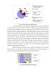 Reklamos plano turinys ir svarbiausi elementai kuriant firmos įvaizdį 20 puslapis