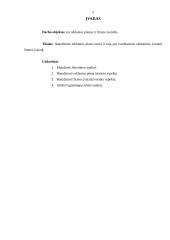 Reklamos plano turinys ir svarbiausi elementai kuriant firmos įvaizdį 4 puslapis