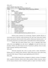 Reklamos plano turinys ir svarbiausi elementai kuriant firmos įvaizdį 7 puslapis