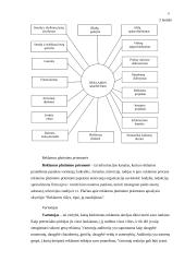 Reklamos poveikis vartotojui ir rinkai 6 puslapis