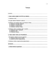 Reklamos vaidmuo rinkos ūkyje