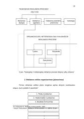 Reklamos vaidmuo rinkos ūkyje 18 puslapis