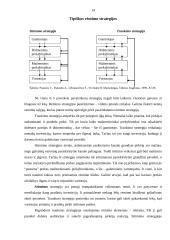 Rėmimo programa 14 puslapis