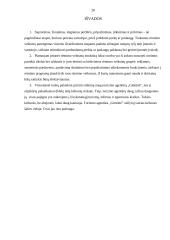 Rėmimo programa 20 puslapis