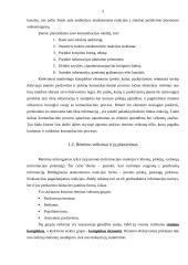 Rėmimo programa 5 puslapis