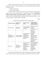 Rėmimo programa 10 puslapis