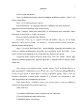 Renta ir jos norma 2 puslapis