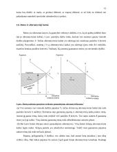 Renta ir jos norma 11 puslapis