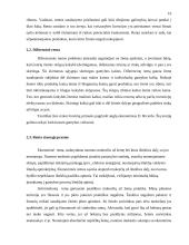 Renta ir jos norma 15 puslapis