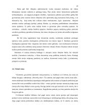 Renta ir jos norma 19 puslapis