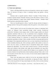 Renta ir jos norma 4 puslapis