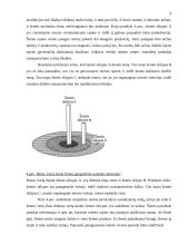 Renta ir jos norma 8 puslapis