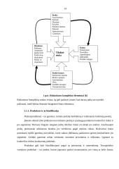 Rinkodaros komplekso modelis bitininkystės ūkyje 14 puslapis