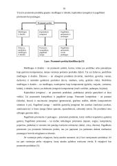 Rinkodaros komplekso modelis bitininkystės ūkyje 16 puslapis