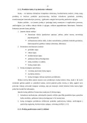 Rinkodaros komplekso modelis bitininkystės ūkyje 17 puslapis