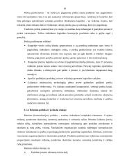 Rinkodaros komplekso modelis bitininkystės ūkyje 18 puslapis