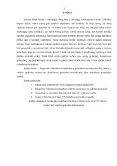 Rinkodaros komplekso modelis bitininkystės ūkyje 3 puslapis