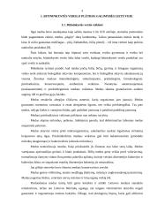 Rinkodaros komplekso modelis bitininkystės ūkyje 4 puslapis