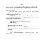 Rinkodaros plano kūrimas: viešbutis UAB "BEATS" 2 puslapis