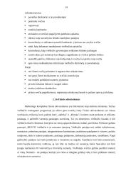 Rinkodaros plano kūrimas: viešbutis UAB "BEATS" 13 puslapis