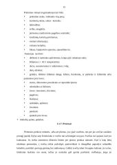 Rinkodaros plano kūrimas: viešbutis UAB "BEATS" 14 puslapis