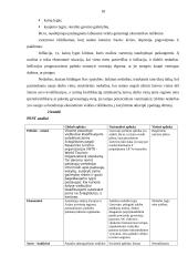 Rinkodaros plano kūrimas: viešbutis UAB "BEATS" 17 puslapis