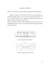 Rotacinių šienapjovių apžvalga 13 puslapis