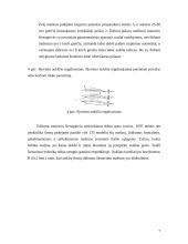 Rotacinių šienapjovių apžvalga 7 puslapis