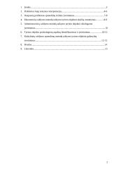 Silpnų srovių tinklų statybos įmonių valdymo struktūros formavimo modelis 2 puslapis