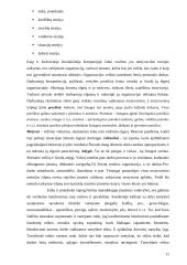 Silpnų srovių tinklų statybos įmonių valdymo struktūros formavimo modelis 11 puslapis