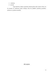 Silpnų srovių tinklų statybos įmonių valdymo struktūros formavimo modelis 13 puslapis