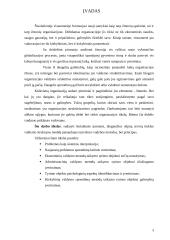 Silpnų srovių tinklų statybos įmonių valdymo struktūros formavimo modelis 3 puslapis