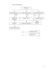Silpnų srovių tinklų statybos įmonių valdymo struktūros formavimo modelis 6 puslapis