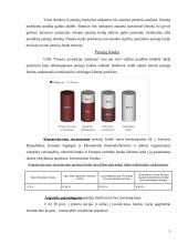 Siūlomų pensijų fondų analizė ir palyginimas: UAB FMĮ "Finasta" ir UAB "ERGO Lietuva" 5 puslapis