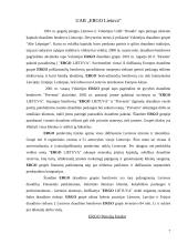 Siūlomų pensijų fondų analizė ir palyginimas: UAB FMĮ "Finasta" ir UAB "ERGO Lietuva" 7 puslapis